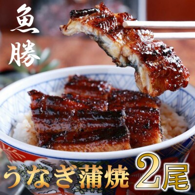 中国産うなぎ蒲焼　2尾〈計約320g〉