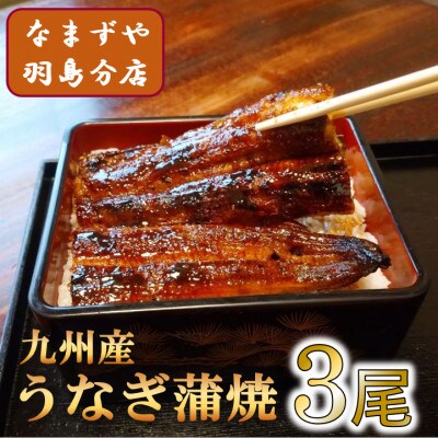 九州産うなぎ蒲焼　3尾〈計約360g〉