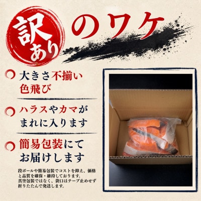 【訳あり】北海道産 塩鮭(秋鮭) 切り身 約1kg 冷凍