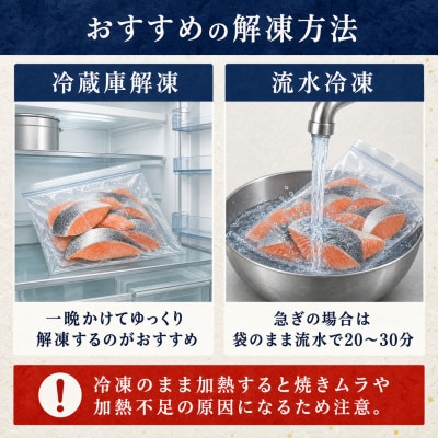 【訳あり】北海道産 塩鮭(秋鮭) 切り身 約1kg 冷凍