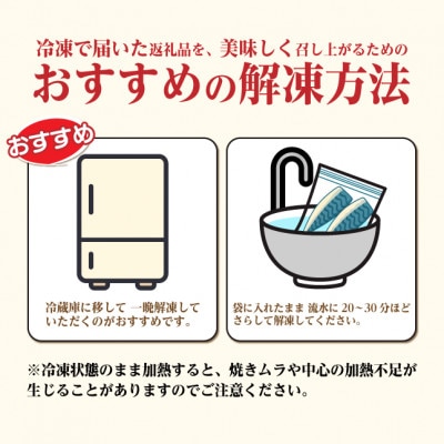 【訳あり】ノルウェー産　塩さば　フィレ　約1kg