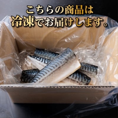 【訳あり】ノルウェー産　塩さば　フィレ　約1kg