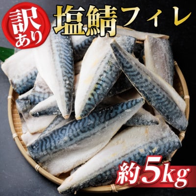 【訳あり】ノルウェー産　塩さば　フィレ　約5kg