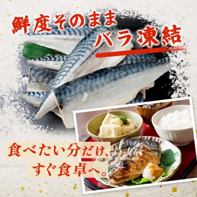 【訳あり】ノルウェー産　塩さば　フィレ　約5kg