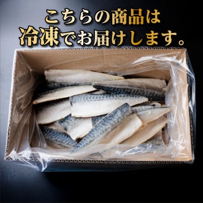 【訳あり】ノルウェー産　塩さば　フィレ　約5kg