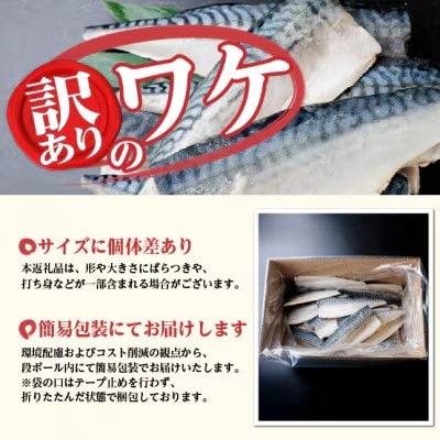 【訳あり】ノルウェー産　塩さば　フィレ　約4kg