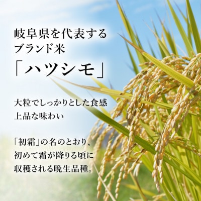 令和8年産 岐阜県産ハツシモ 精米 10kg　FTA290