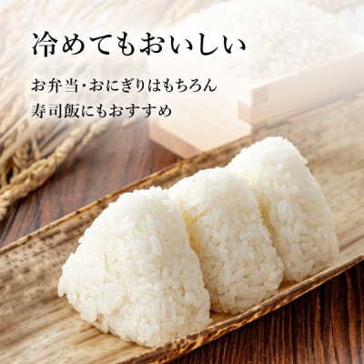 令和8年産 岐阜県産ハツシモ 精米 10kg　FTA290