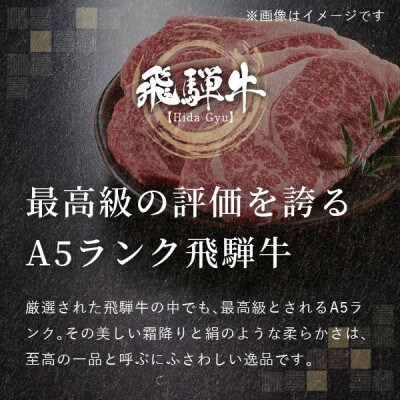飛騨牛5等級 ももステーキ1.4kg(200g×7枚)　FTA268