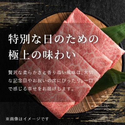 飛騨牛5等級 ももステーキ1.4kg(200g×7枚)　FTA268