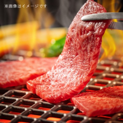 飛騨牛5等級 バラ焼肉用4kg(1kg×4P)　FTA276