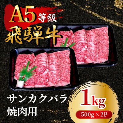 飛騨牛5等級 サンカクバラ焼肉用1kg(500g×2P)　FTA285