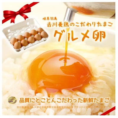 吉川養鶏のグルメ卵(10個×3パック)　贈答箱入　羽島観光協会推奨【はしまブランド】認定品