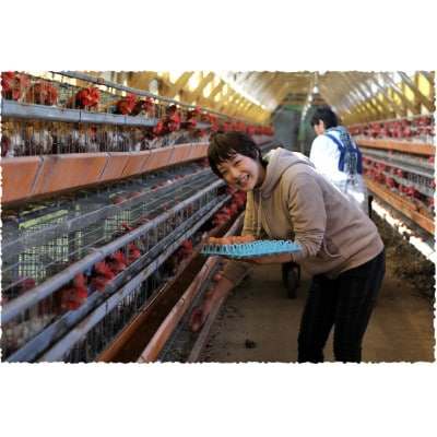 吉川養鶏のグルメ卵　Lサイズ80個(割れ保証16個含む)羽島観光協会推奨【はしまブランド】認定品