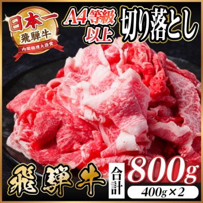 レビューキャンペーン実施中!飛騨牛　厳選切り落とし　800g　A4～A5等級　黒毛和牛　小分け