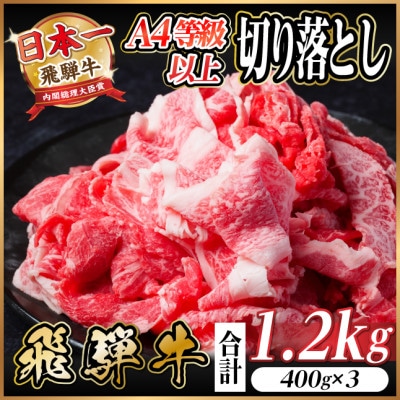レビューキャンペーン実施中!飛騨牛　厳選切り落とし　1.2kg　A4～A5等級　黒毛和牛　小分け