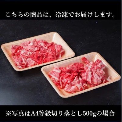 飛騨牛 厳選切り落とし 1.2kg(400g×3)　A4～A5等級　黒毛和牛 小分け