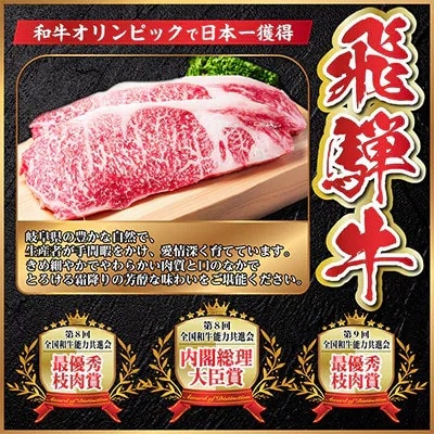 飛騨牛　厳選切り落とし(焼肉・BBQ用)　1kg(500g×2)　訳あり　黒毛和牛　小分け