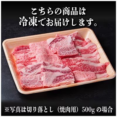 飛騨牛 厳選切り落とし(焼肉・BBQ用) 500g　訳あり 黒毛和牛　4～A5等級