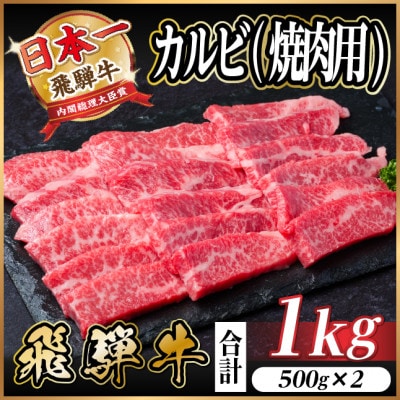 飛騨牛 厳選カルビ(焼肉・BBQ用)1kg(500g×2) A4~A5等級 小分け