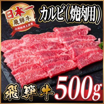 飛騨牛 厳選カルビ(焼肉・BBQ用)500g A4〜A5等級【冷凍便】