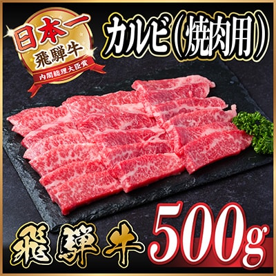 飛騨牛 カルビ 焼肉　500g