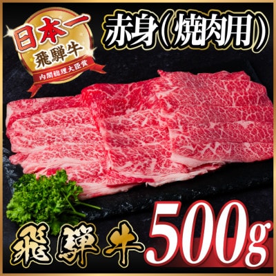 飛騨牛　厳選赤身(焼肉・BBQ用)500g　A4～A5等級【冷凍便】