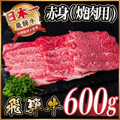 飛騨牛　厳選赤身(焼肉・BBQ用) 600g(300g×2)　A4～A5等級　小分け