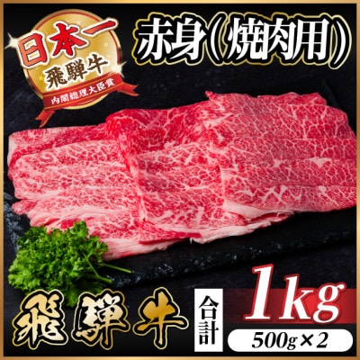 飛騨牛　厳選赤身(焼肉・BBQ用) 1kg(500g×2)　A4～A5等級　小分け