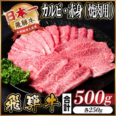 飛騨牛 カルビ・赤身(焼肉用) 500g(各250g)