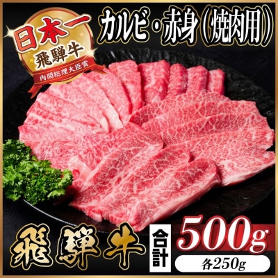 飛騨牛 カルビ・赤身(焼肉・BBQセット)500g 小分け 黒毛和牛 A4～A5等級