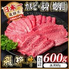 飛騨牛 厳選カルビ・赤身(焼肉・BBQ用)600g A4~A5 小分け
