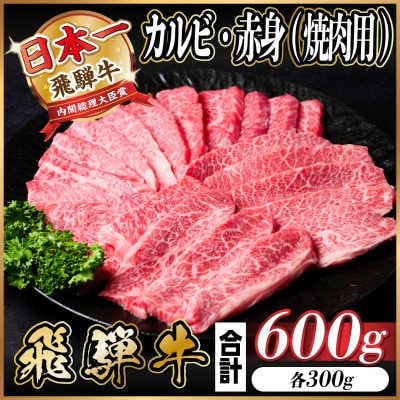 飛騨牛 カルビ・赤身(焼肉用) 600g(各300g)