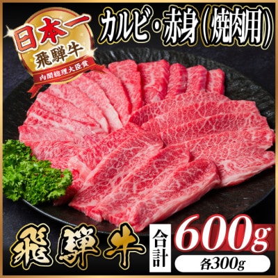 レビューキャンペーン実施中!飛騨牛　厳選カルビ・赤身(焼肉・BBQ用)600g　A4～A5　小分け