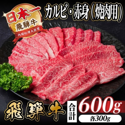 飛騨牛 厳選カルビ・赤身(焼肉・BBQ用)600g　小分け　黒毛和牛　A4～A5等級