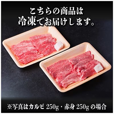 飛騨牛 厳選カルビ・赤身(焼肉・BBQ用)600g　小分け　黒毛和牛　A4～A5等級