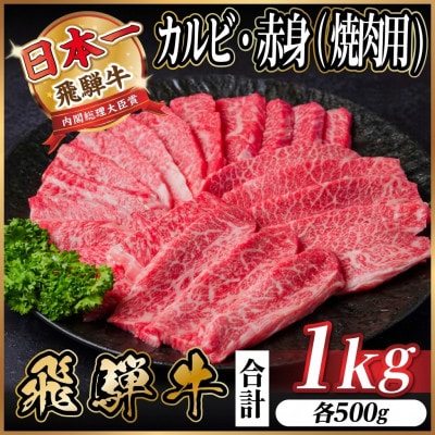 飛騨牛 厳選カルビ・赤身(焼肉・BBQ用) 1kg(各500g)　黒毛和牛　小分け　A4～A5等級