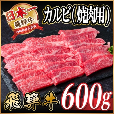 飛騨牛　厳選カルビ(焼肉・BBQ用) 600g(300g×2)　A4～A5等級　小分け