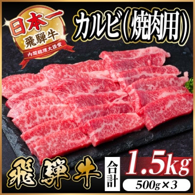飛騨牛　厳選カルビ(焼肉・BBQ用) 1.5kg(500g×3)　A4～A5等級　小分け