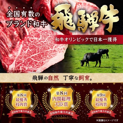 飛騨牛 厳選牛すね肉(スネ肉) 角切り 4kg(500g×8)  訳あり