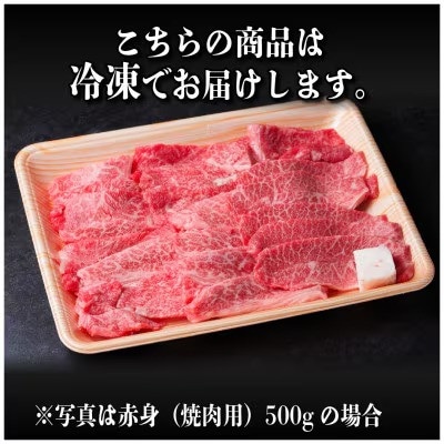 レビューキャンペーン実施中!飛騨牛　厳選肩ロース・赤身(焼肉・BBQ用)600g　A4～A5　小分け