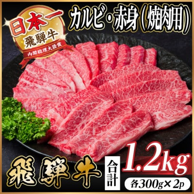 レビューキャンペーン実施中!飛騨牛　厳選カルビ・赤身(焼肉・BBQ用)計1.2kg(各300g×2)