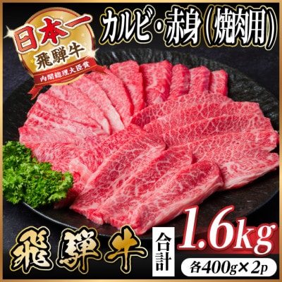 レビューキャンペーン実施中!飛騨牛　厳選カルビ・赤身(焼肉・BBQ用)計1.6kg(約400g×2)