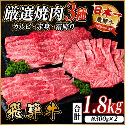 飛騨牛　厳選焼肉3種(カルビ・赤身・霜降り)　計1.8kg(各600g)