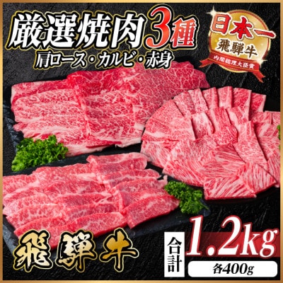 レビューキャンペーン実施中!飛騨牛　厳選焼肉3種(肩ロース・カルビ・赤身)1.2kg(各400g)