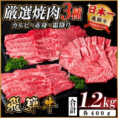 飛騨牛　厳選焼肉3種(カルビ・赤身・霜降り)　計1.2kg(各400g)