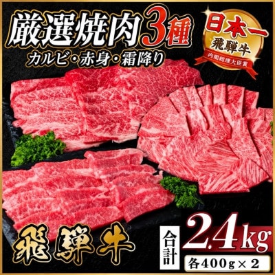 飛騨牛　厳選焼肉3種(カルビ・赤身・霜降り)　計2.4kg(各800g)