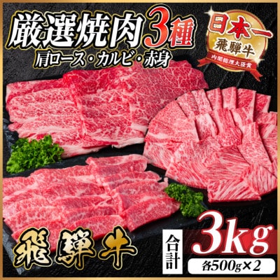レビューキャンペーン中!飛騨牛　厳選焼肉3種(肩ロース・カルビ・赤身)計3kg(各500g×2)
