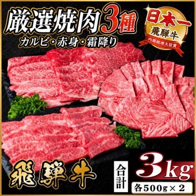 飛騨牛　厳選焼肉3種(カルビ・赤身・霜降り)　計3kg(各1kg)
