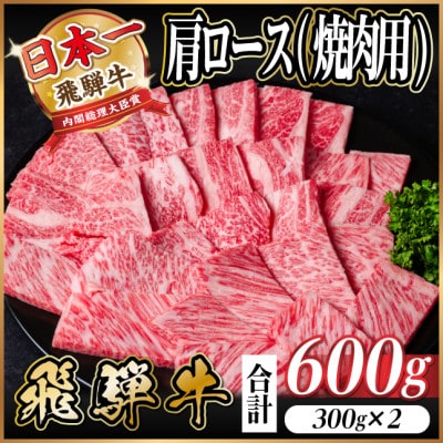 飛騨牛　厳選肩ロース(焼肉・BBQ用)600g(300g×2)A4～A5等級【冷凍便】小分け